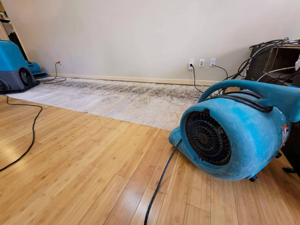 Professional Structural Drying technician working in Hanover, MA